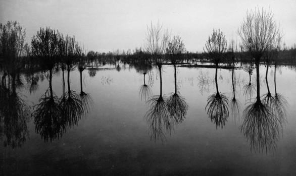 BLUe – Building river Landscape across United Europe (2005-2007)