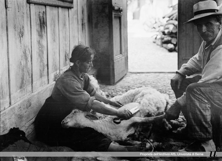 Paul Scheuermeier. Tosare la pecora, Germasino (CO), 1920