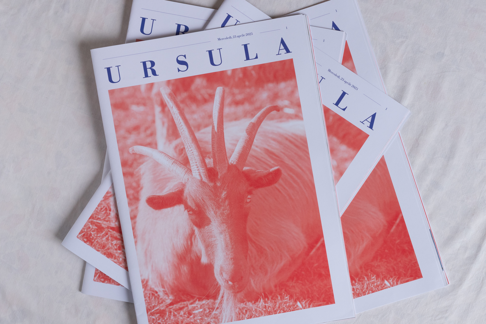 URSULA_003