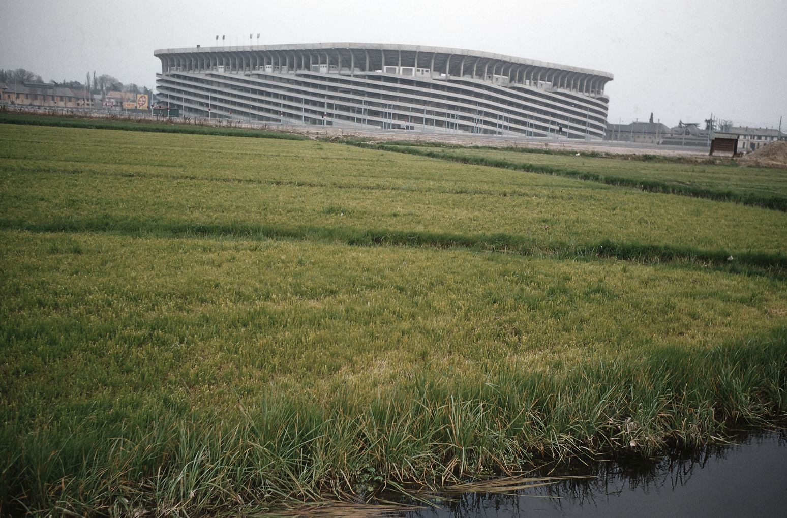 Stadio San Siro con risaie in primo piano, Milano, 1957
