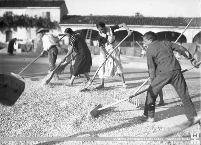 Ernesto Fazioli. Battaglia del Grano. Trebbiatura sull'aia